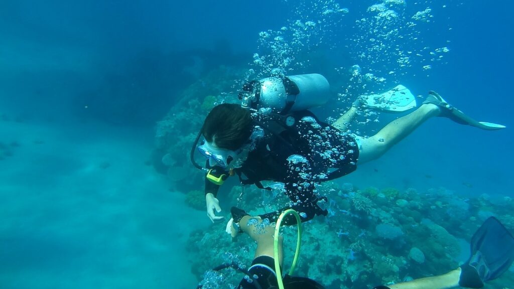 diving, sea, underwater-778495.jpg